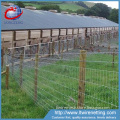 Factory price grassland fence / cheap farm fnce / horse rail fence in stock